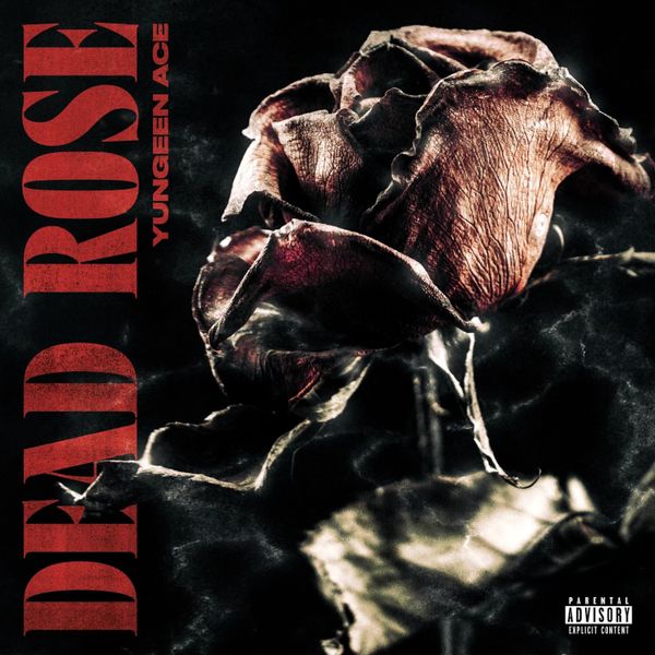 Yungeen Ace - Dead Rose
