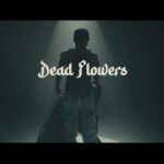 VIDEO: Llona – Dead Flowers
