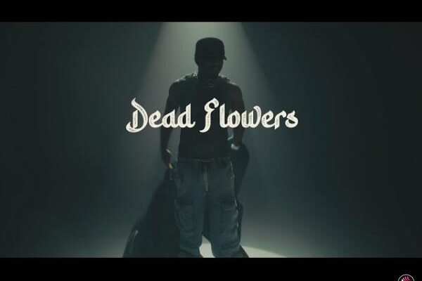 VIDEO: Llona – Dead Flowers