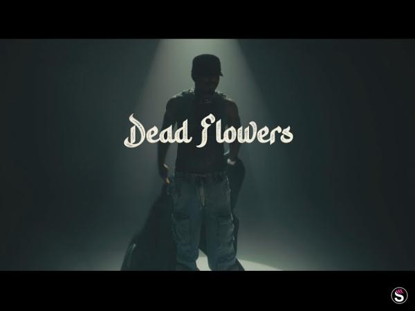 Llona - Dead Flowers