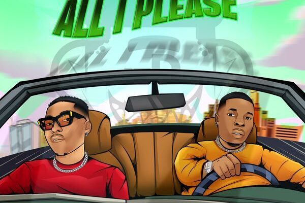 Wale Turner – All I Please ft. Reekado Banks