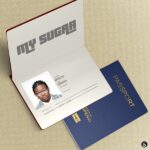 Mocco Genius – My Sugar